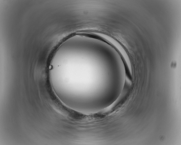 X0000092260252200709141215