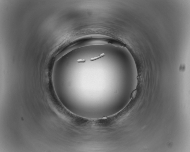 X0000092260254200709141215