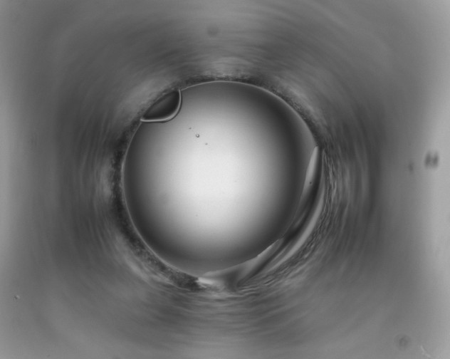 X0000092260255200709141215