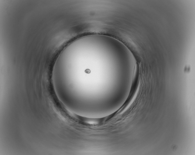 X0000092260256200709141215