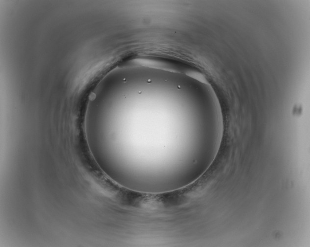 X0000092260258200709141215