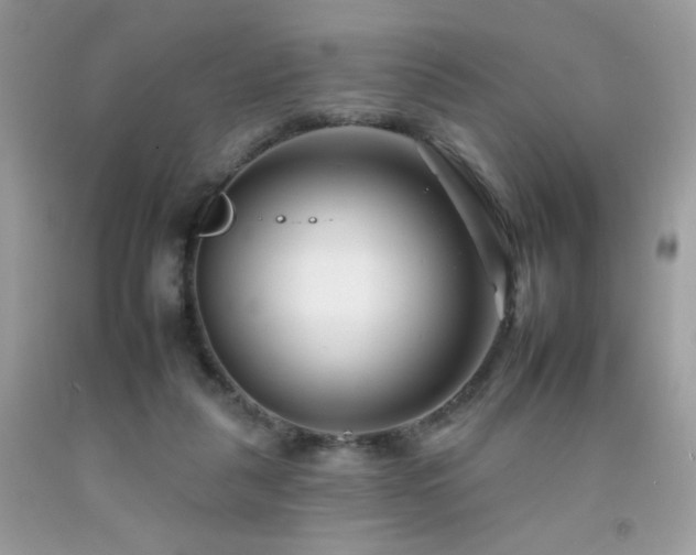 X0000092260259200709141215