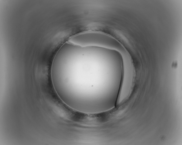X0000092260260200709141215