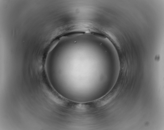 X0000092260261200709141215