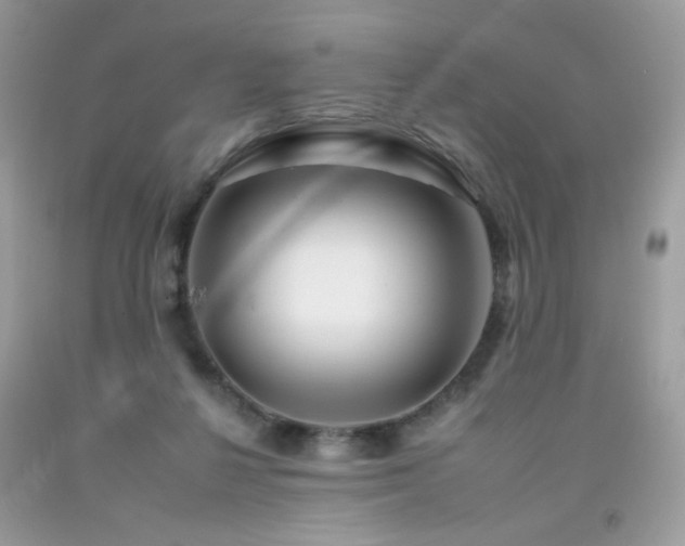 X0000092260264200709141215