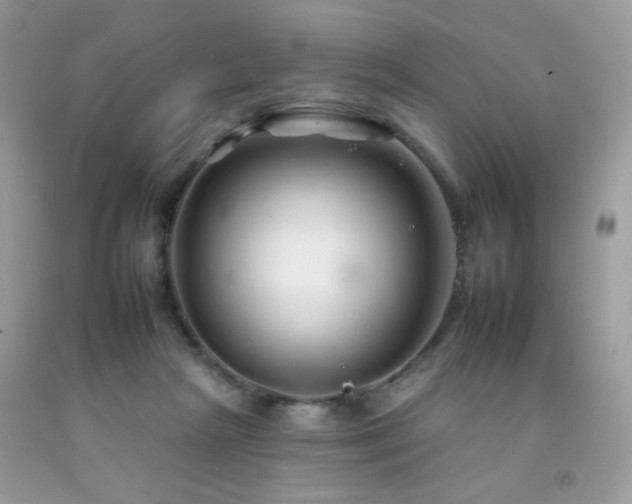 X0000092260265200709141215