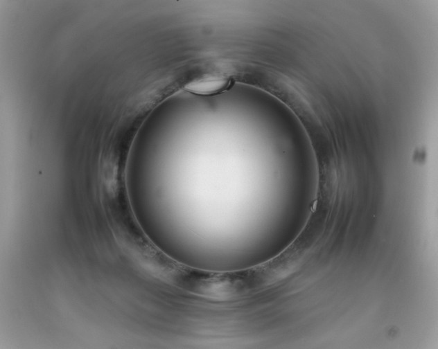 X0000092260267200709141215