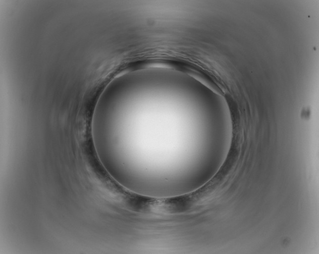 X0000092260268200709141215