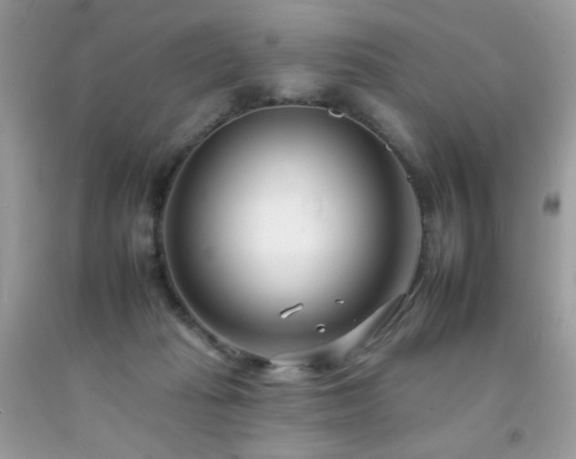 X0000092260269200709141215