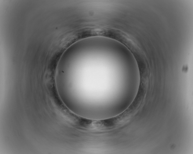 X0000092260270200709141215