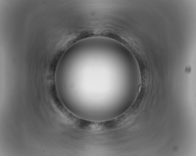 X0000092260272200709141215