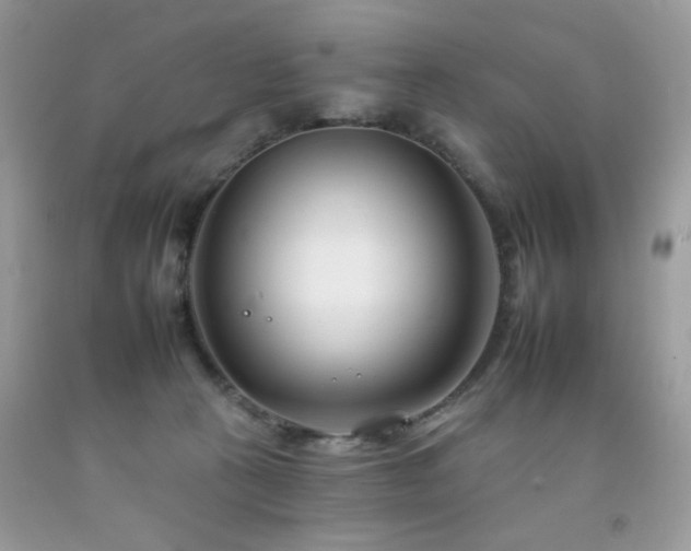 X0000092260273200709141215