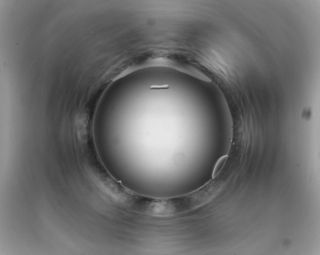 X0000092260275200709141215