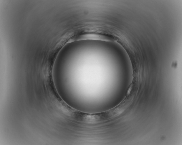 X0000092260277200709141215