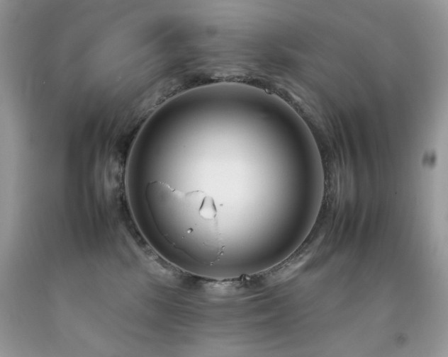 X0000092260281200709141215