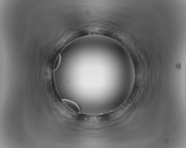 X0000092260282200709141215