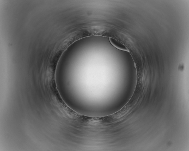 X0000092260283200709141215