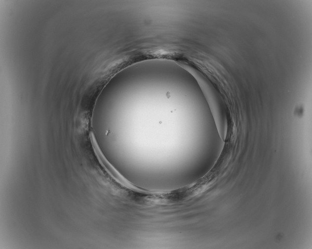X0000092260284200709141215