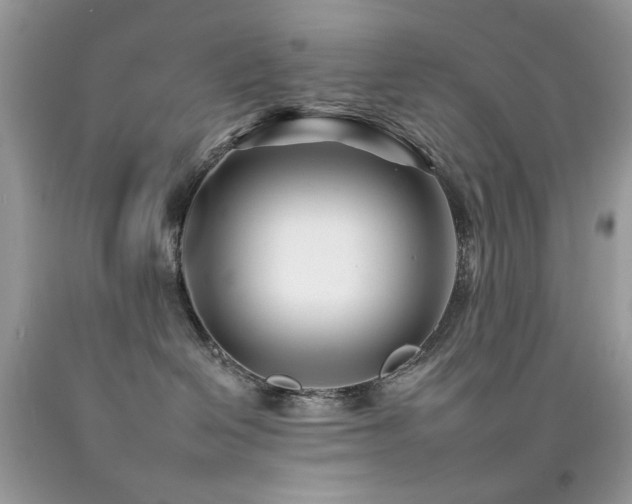 X0000092260286200709141215
