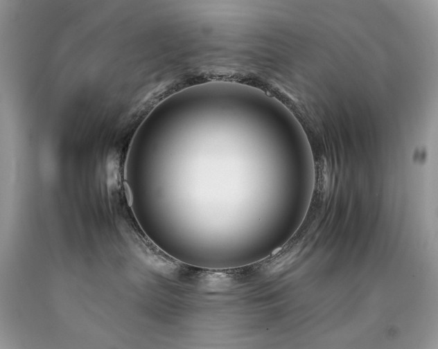 X0000092260287200709141215