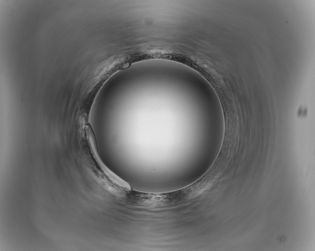 X0000092260288200709141215