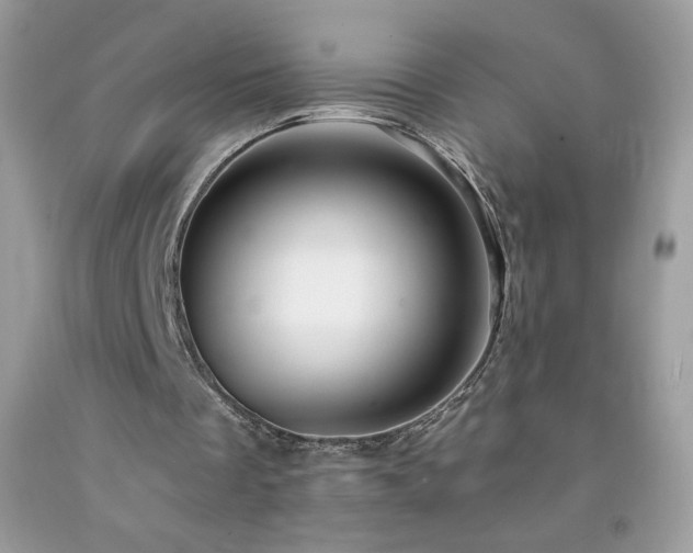 X0000092260289200709141215
