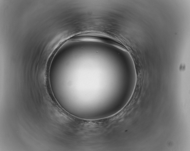 X0000092260290200709141215