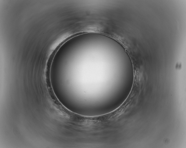 X0000092260292200709141215