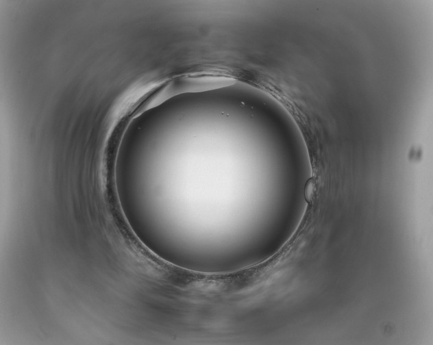 X0000092260294200709141214
