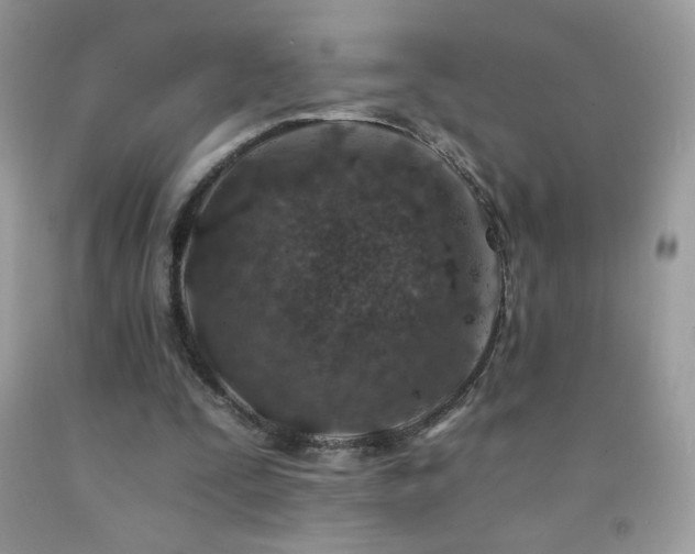 X0000092260295200709141214