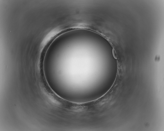 X0000092260296200709141214