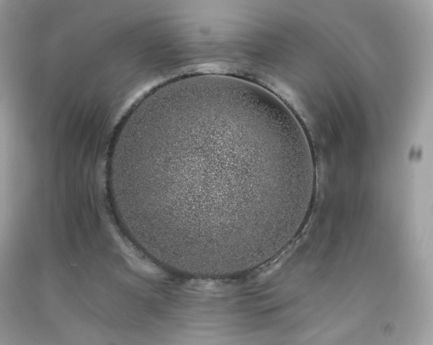 X0000092260297200709141214
