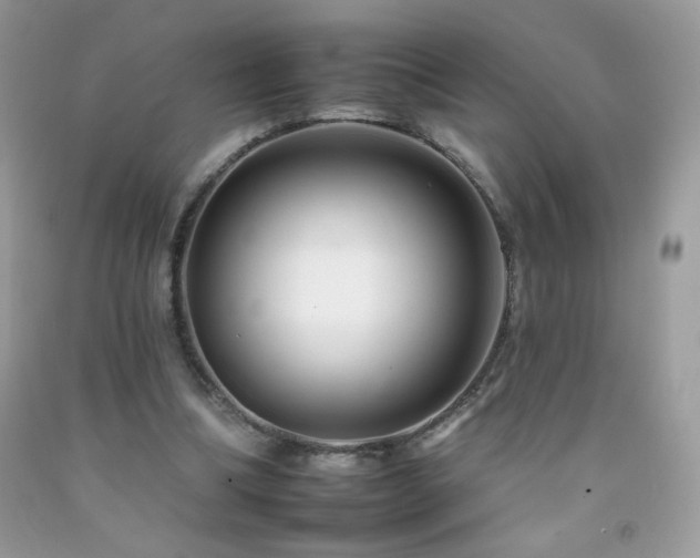 X0000092260298200709141214