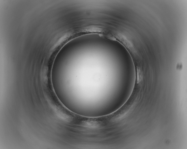 X0000092260300200709141214
