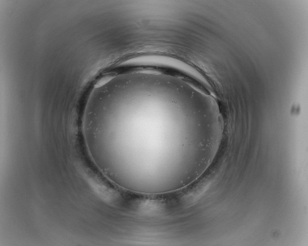 X0000092260303200709141214