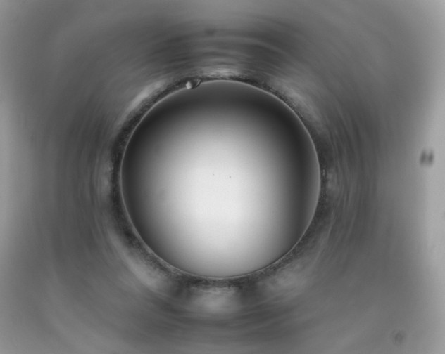 X0000092260304200709141214