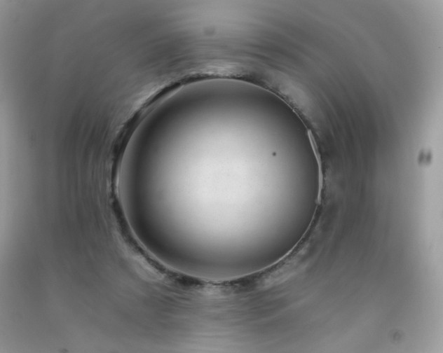 X0000092260305200709141214