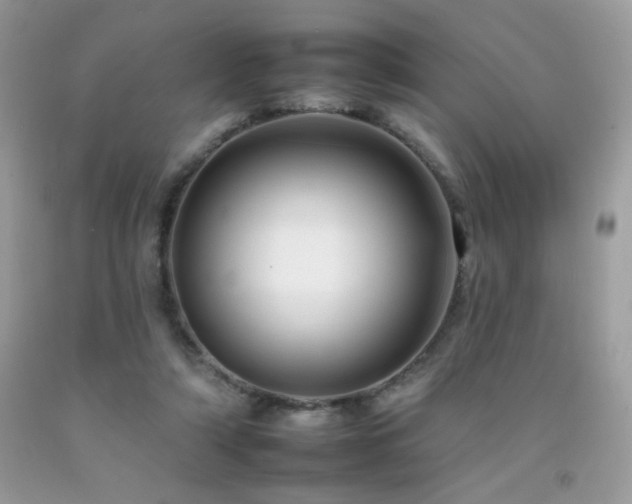 X0000092260306200709141214