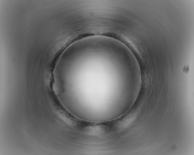 X0000092260307200709141214
