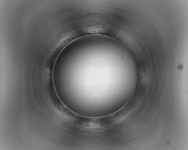 X0000092260308200709141214