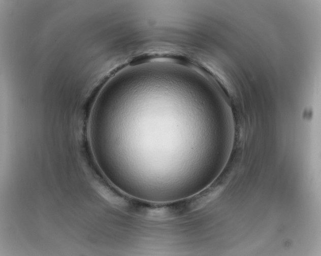 X0000092260309200709141214