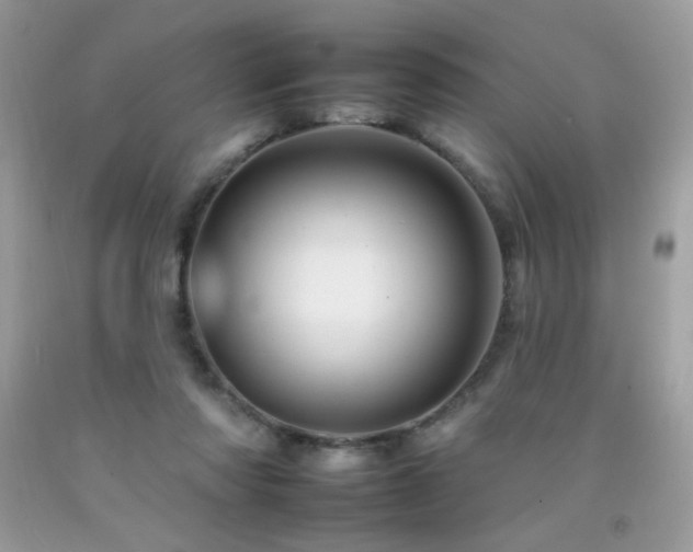 X0000092260310200709141214