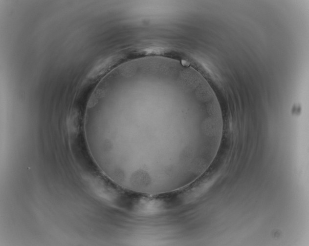 X0000092260311200709141214