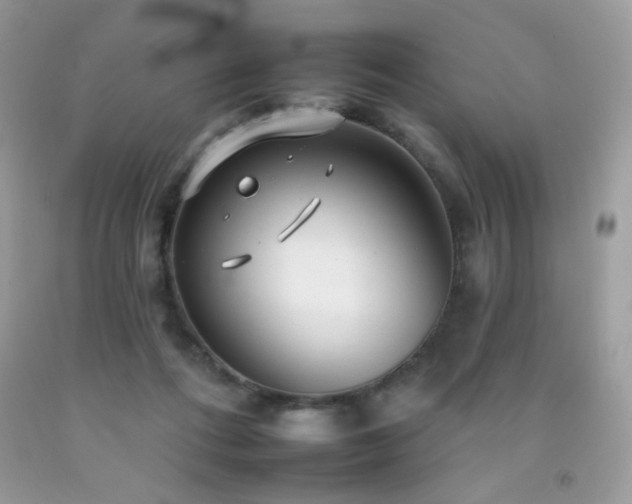 X0000092260312200709141214