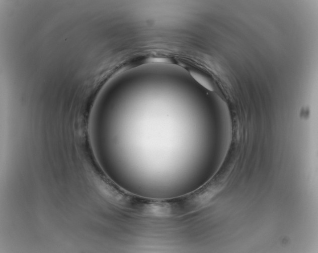 X0000092260317200709141214
