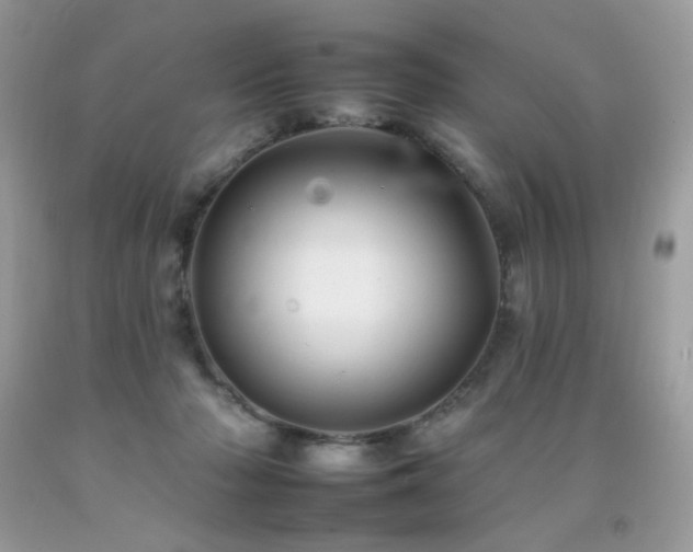 X0000092260318200709141214
