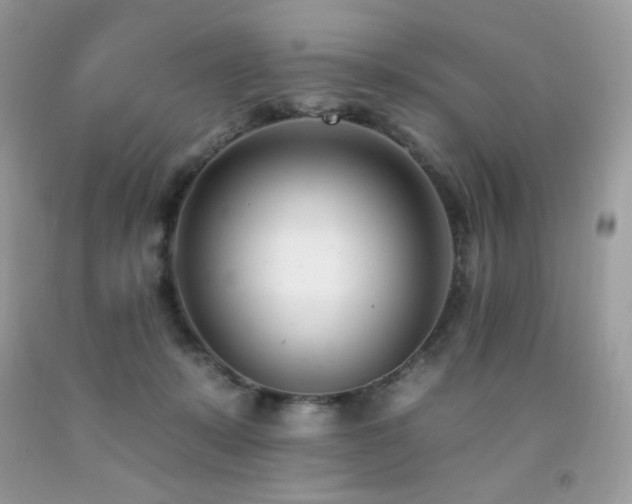 X0000092260319200709141214
