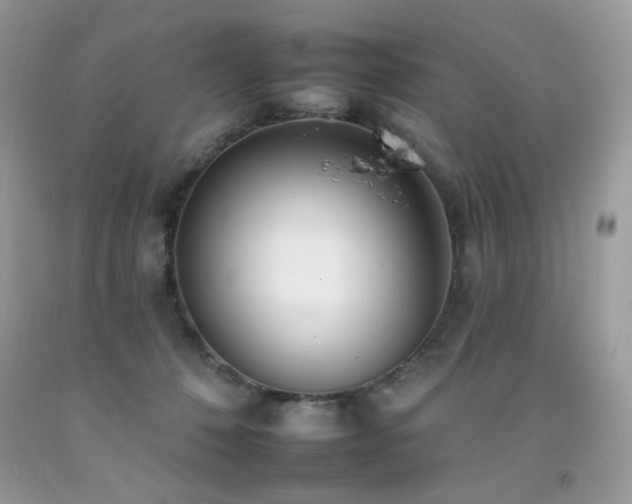 X0000092260320200709141214