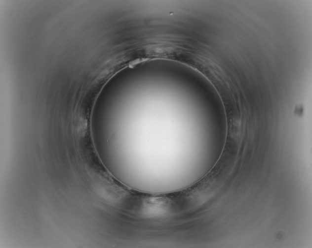X0000092260324200709141214