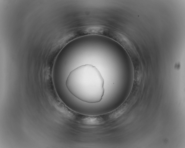 X0000092260326200709141214